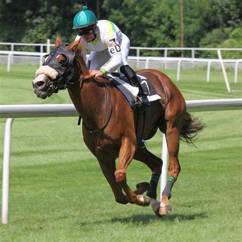 virtual racing results ladbrokes|Virtual Horse Racing Results & Racecards .